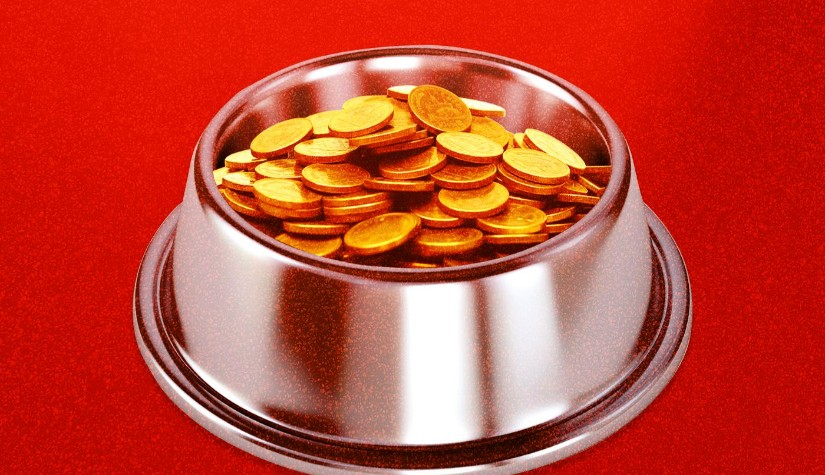 ตุรกีเร่งสืบสวนการฉ้อโกงเหรียญ Dogecoin มูลค่าเสียหายกว่า 3.9 พันล้านบาท