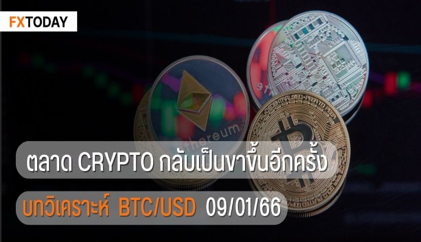 ตลาด Crypto กลับเป็นขาขึ้นอีกครั้ง