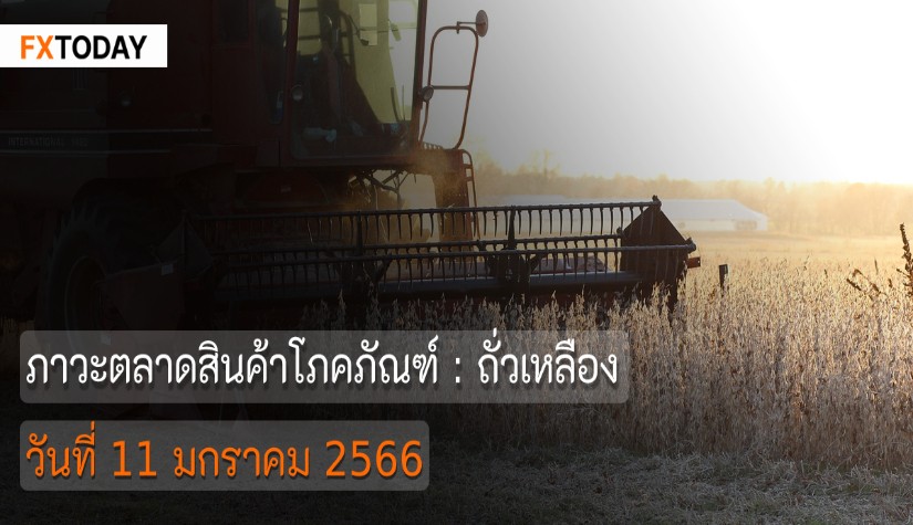 ภาวะตลาดสินค้าโภคภัณฑ์ : ถั่วเหลือง วันที่ 11 มกราคม 2566